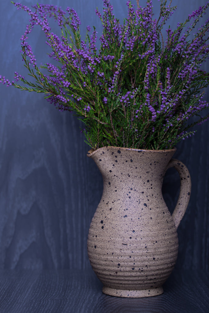 How to Grow Lavender Indoors