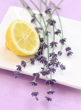 8 Best Plants to Pair with Lavender