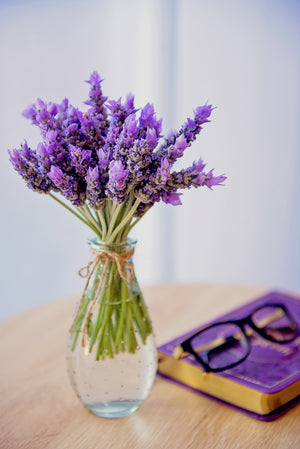 The Ancient History of Lavender