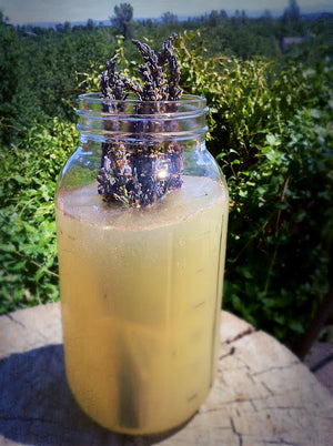 Recipe: Lavender & Honey Lemonade